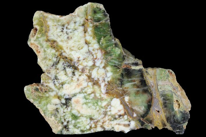 Polished Green-White Opal Slab - Western Australia #95226